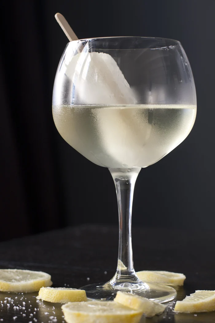 Citroen sorbetijsjes in Prosecco 2 OMF_Vivian_CitroenSorbetIJsjesProsecco_2
