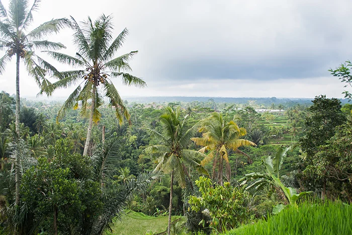 Love: Uitzichtpunten! 8 bali