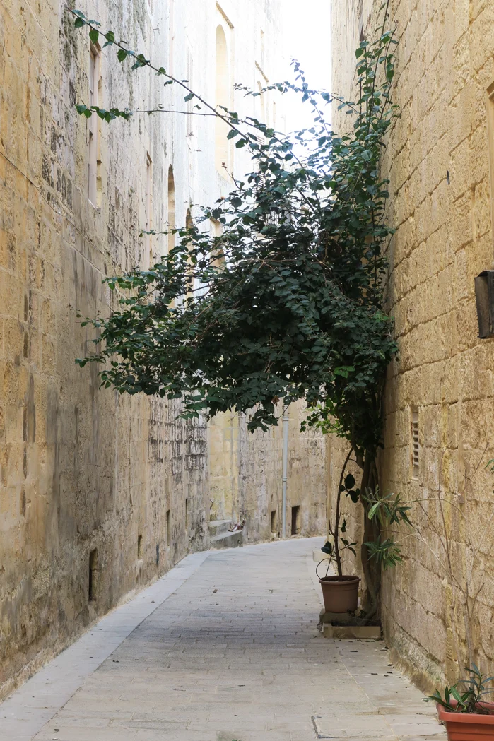 Het mooiste stadje op Malta: Mdina 8 Mdina