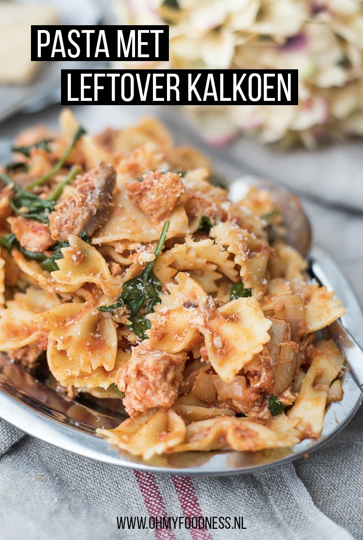 Pasta met leftover kalkoen van het kerstdiner 2 Pasta met leftover kalkoen