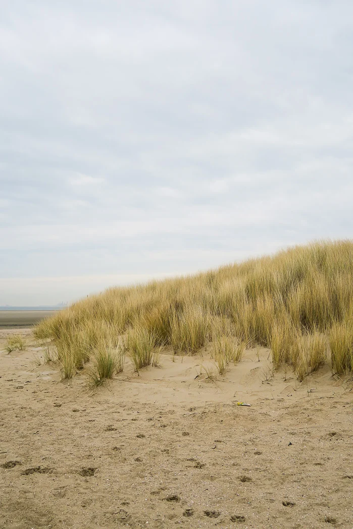 Weg in eigen land: Landal Ouddorp Duin op Goeree-Overflakkee 3 landal ouddorp duin2