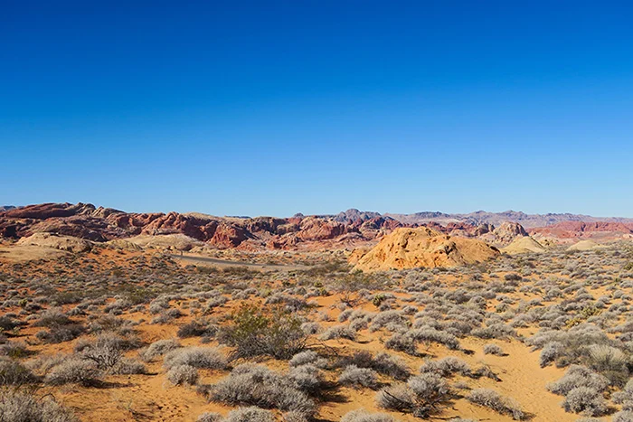 Voor op je bucketlist: Valley of Fire 6 Valley of Fire