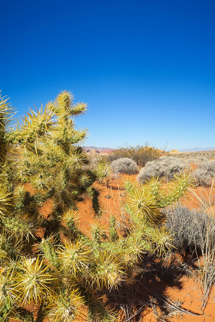 Voor op je bucketlist: Valley of Fire 7 Valley of Fire
