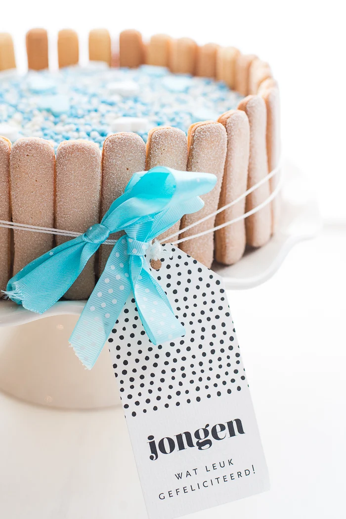 Kraamtaart met muisjes en lange vingers 1 Kraamtaart met muisjes en lange vingers