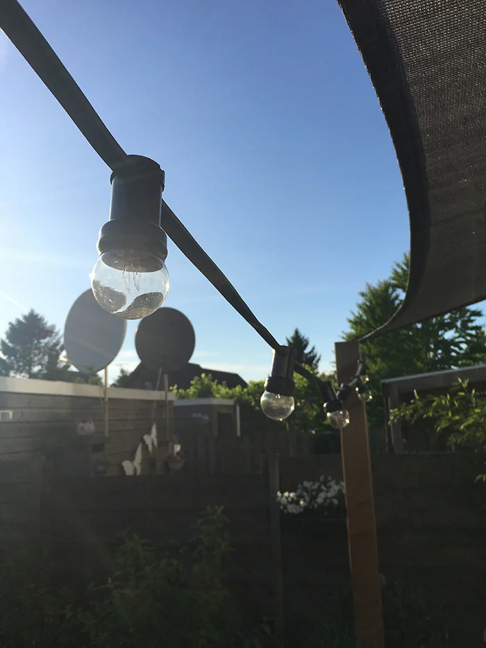 Week van OMF #22 - 2017 22 foto23