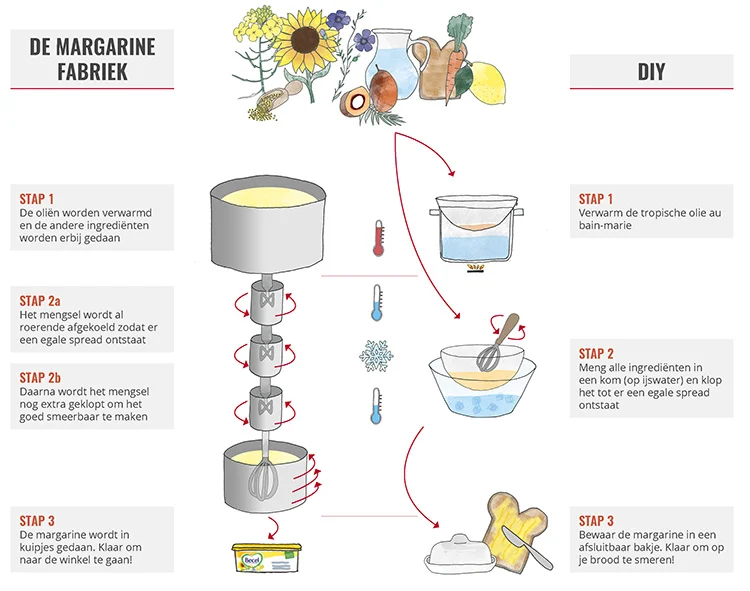 Margarine: hit of shit? #2: De margarinefabriek + zelf margarine maken 11 Infographic margarine maken