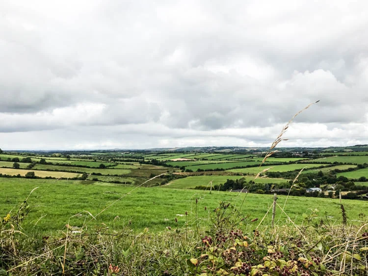 CITY GUIDE | CORK - TO KNOW 1 Foto 01 08 17 11 07 57