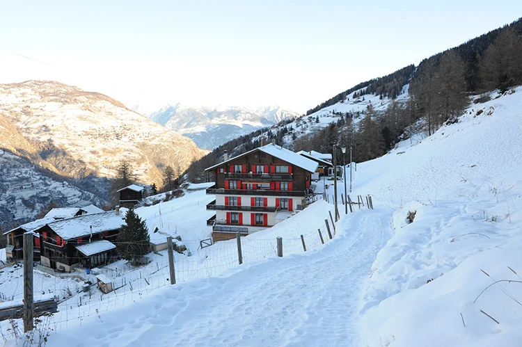 Dit zijn de tofste wintersportaccommodaties voor aankomend seizoen 8 930826 Switzerland Valais Grächen CH 3925 37 Copyright Belvilla 1