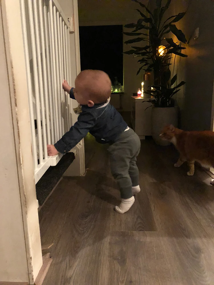 Week van OMF #49 - 2017 16 foto16 1