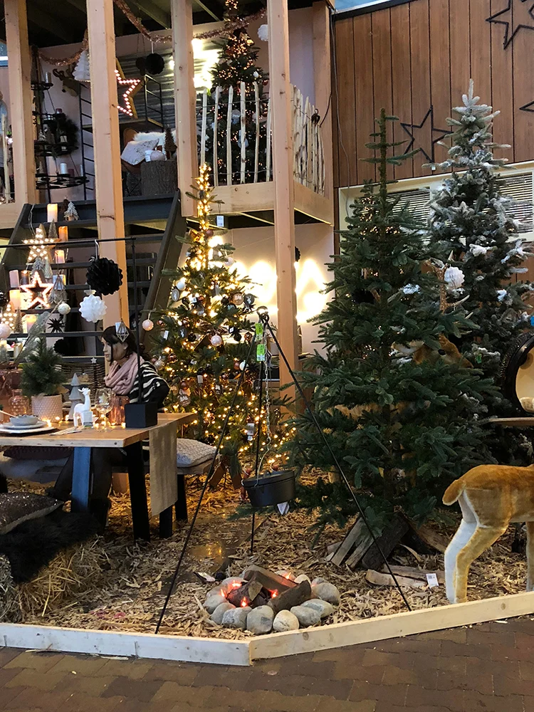 Week van OMF #49 - 2017 28 foto26 1