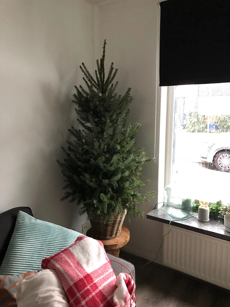 Week van OMF #49 - 2017 29 foto29 1