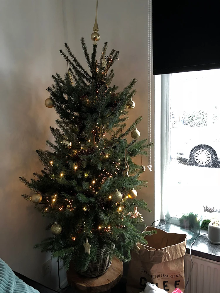 Week van OMF #49 - 2017 30 foto30 1