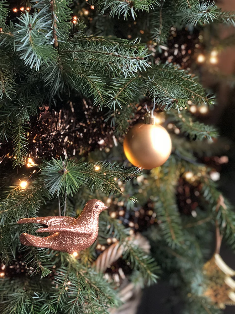 Week van OMF #49 - 2017 31 foto31 1