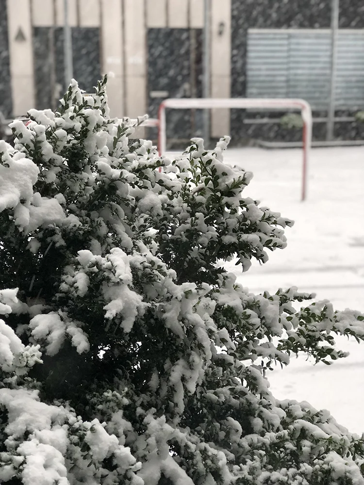 Week van OMF #49 - 2017 32 foto32 1