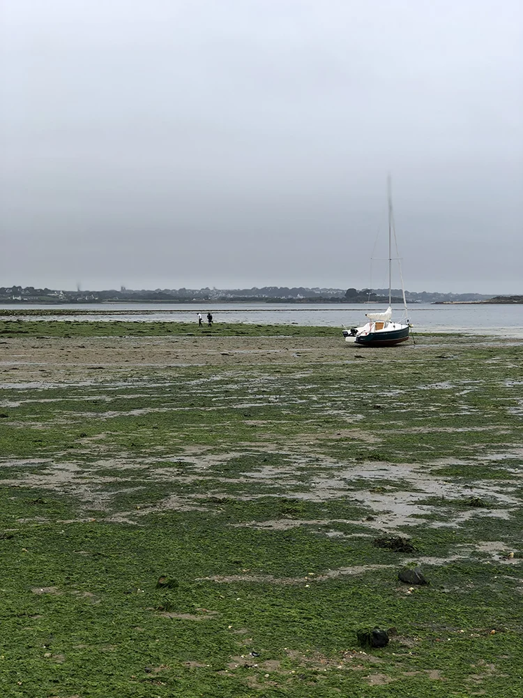 Week van OMF #36-2018 7 foto9 1