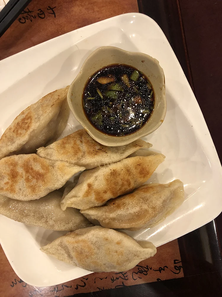 Foodie in Boston 2 Gourmet Dumpling House