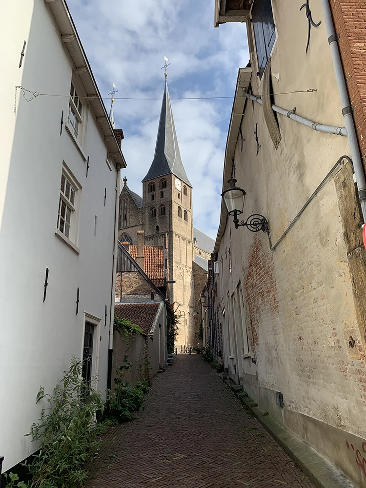 Hanzestadsgids: Deventer 17 Deventer