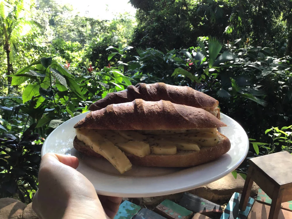 Foodie in Costa Rica 61 Foodie in CostaRica 61