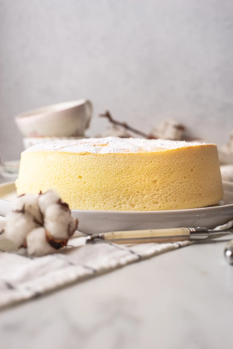 Japanse cheesecake (Cotton cheesecake) 1 Japanse Cotton Cheesecake