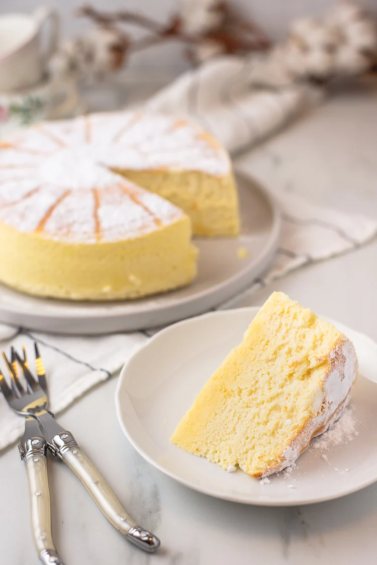 Japanse cheesecake (Cotton cheesecake) 2 Japanse Cotton Cheesecake