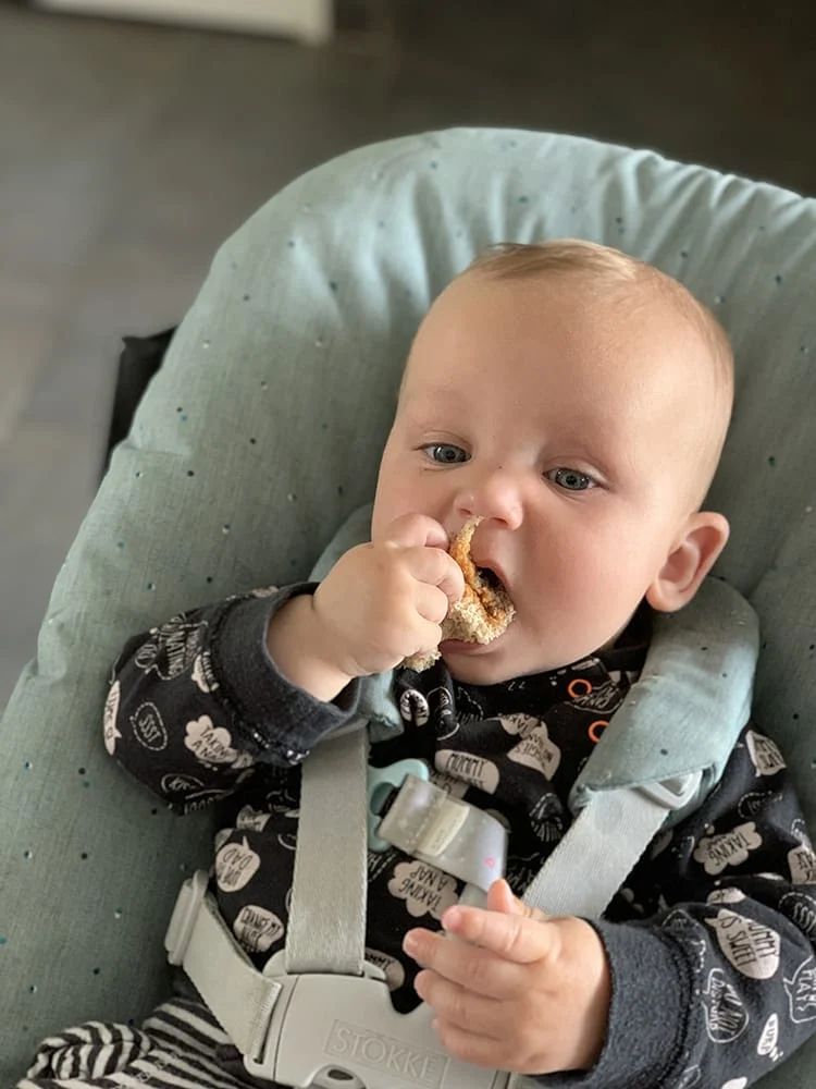 Beginnen met hapjes: Cody's culinaire opvoeding 4 - 6 maanden 3 cody brood