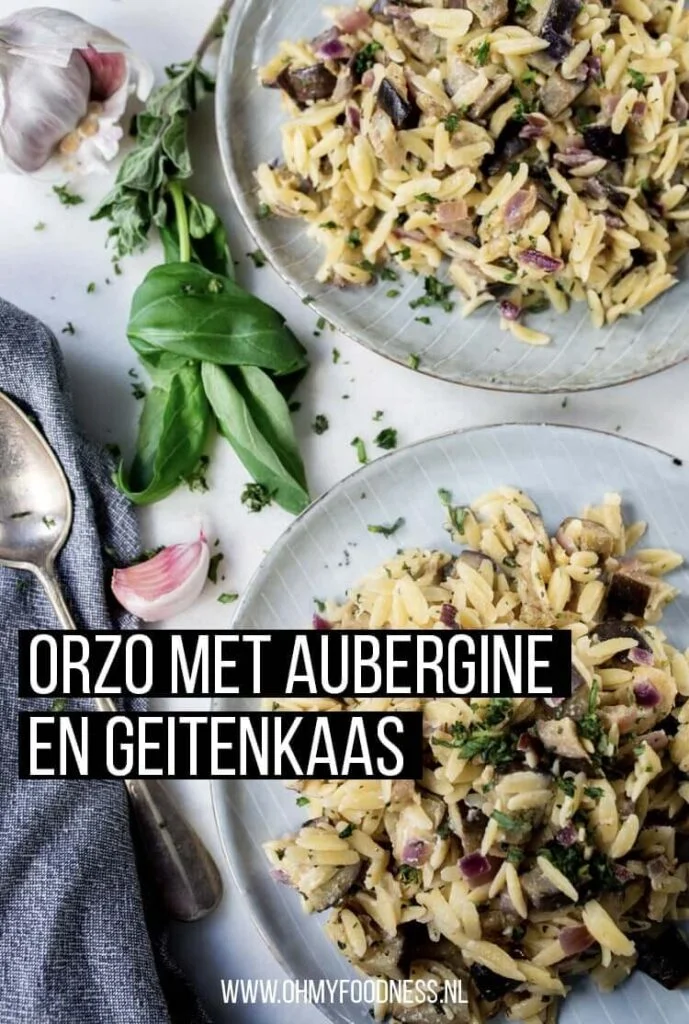 Vegetarische orzo