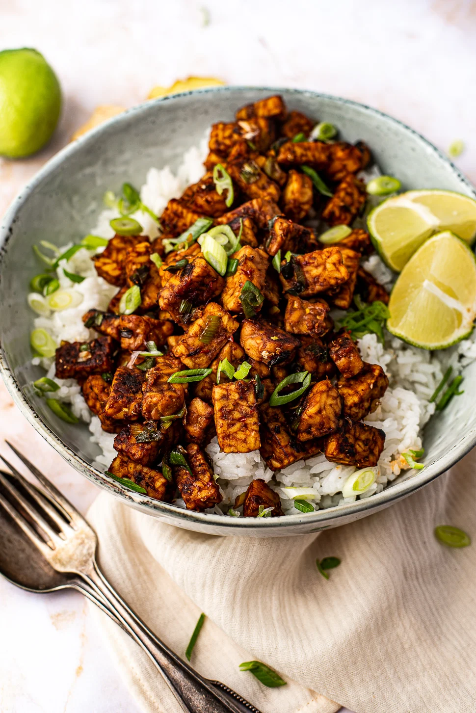 Plakkerige gember tempeh met kokosrijst 2 plakkerige tempeh met kokosrijst