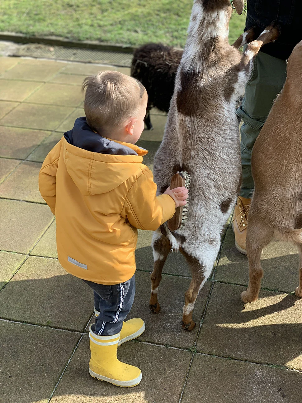 daguitjes met kinderen 1