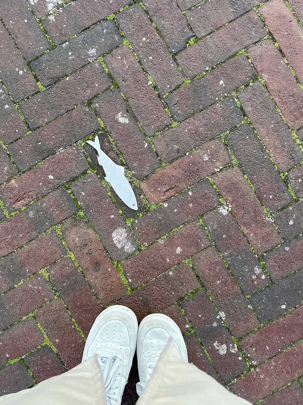 Veluwse streekgids | 48 uur op de Veluwe 4 harderwijk 2
