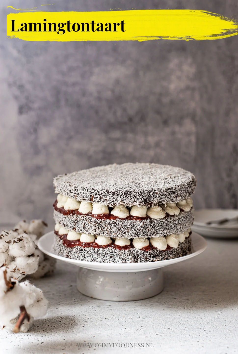 Lamingtontaart