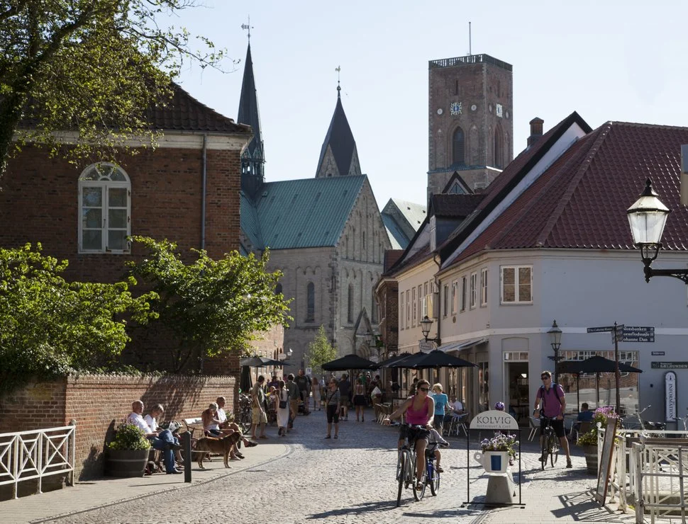 Onze plannen voor de zomervakantie 4 Ribe 29234 custom