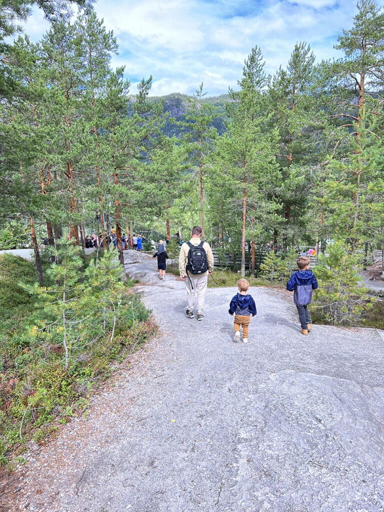 IMG 0911