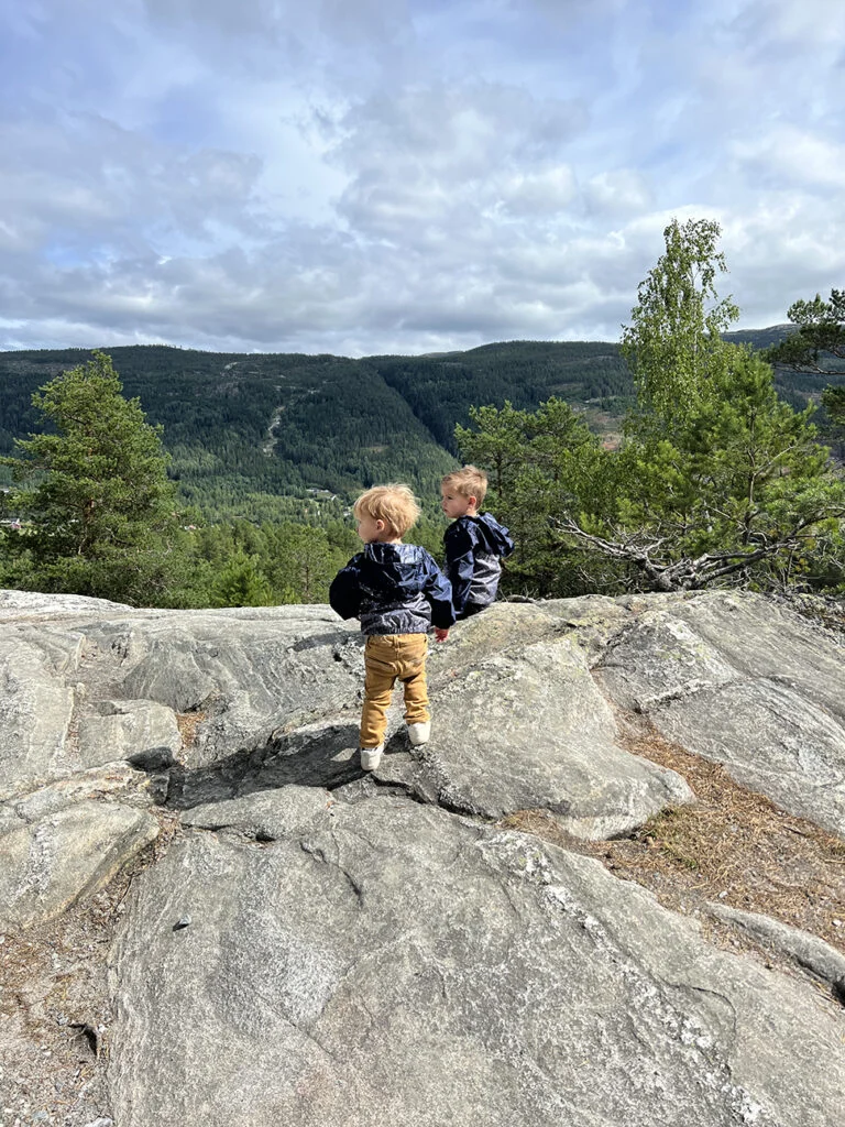 IMG 0916