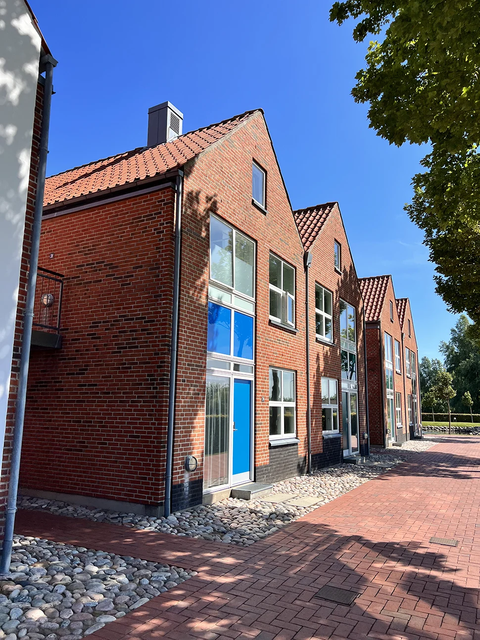 ribe byferie