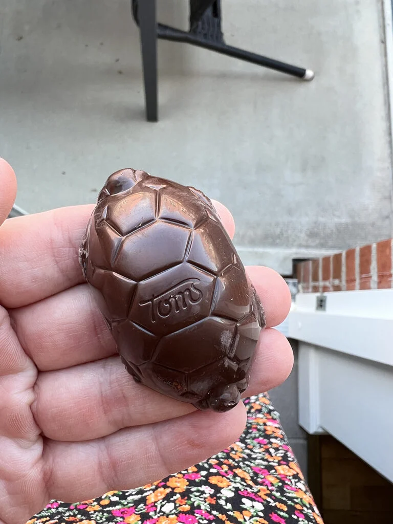 Dit moet je kopen in de Deense supermarkt 3 skildpadder