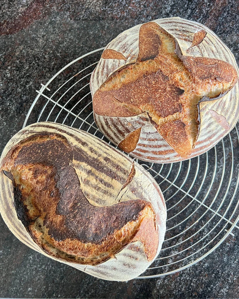 Desembrood maken - mijn eerste keer! 11 Desembrood