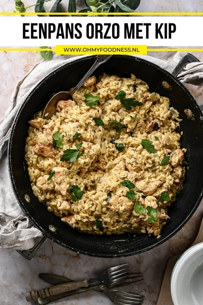 orzo recept kip