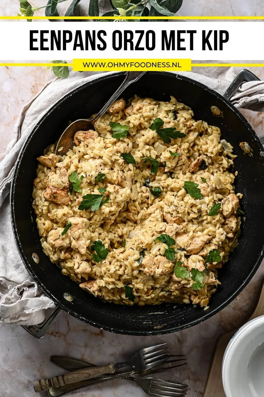 orzo recept kip
