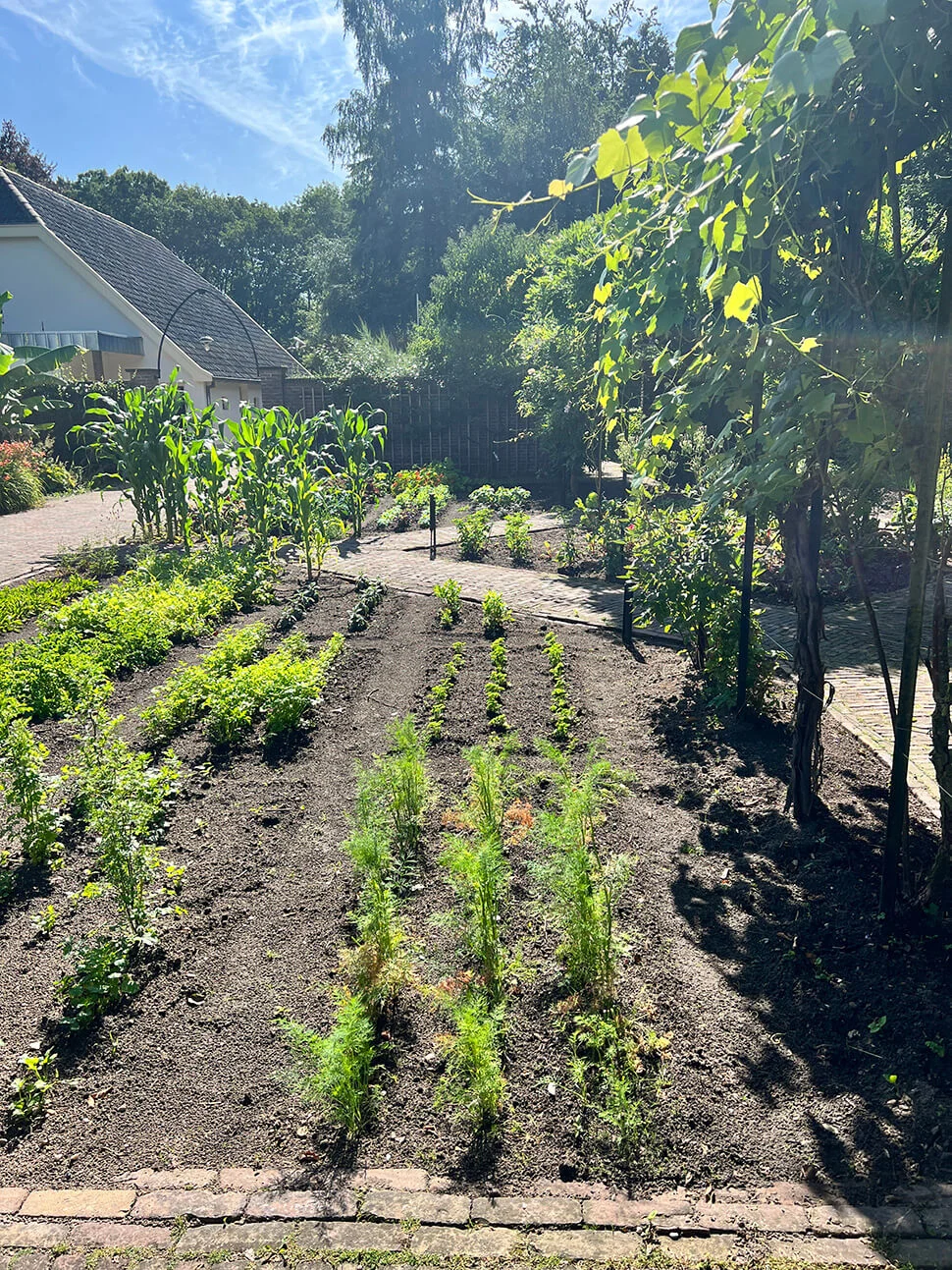 3x bijzonder lunchen op de Veluwe - Gelderland 5 kasteel de vanenburg