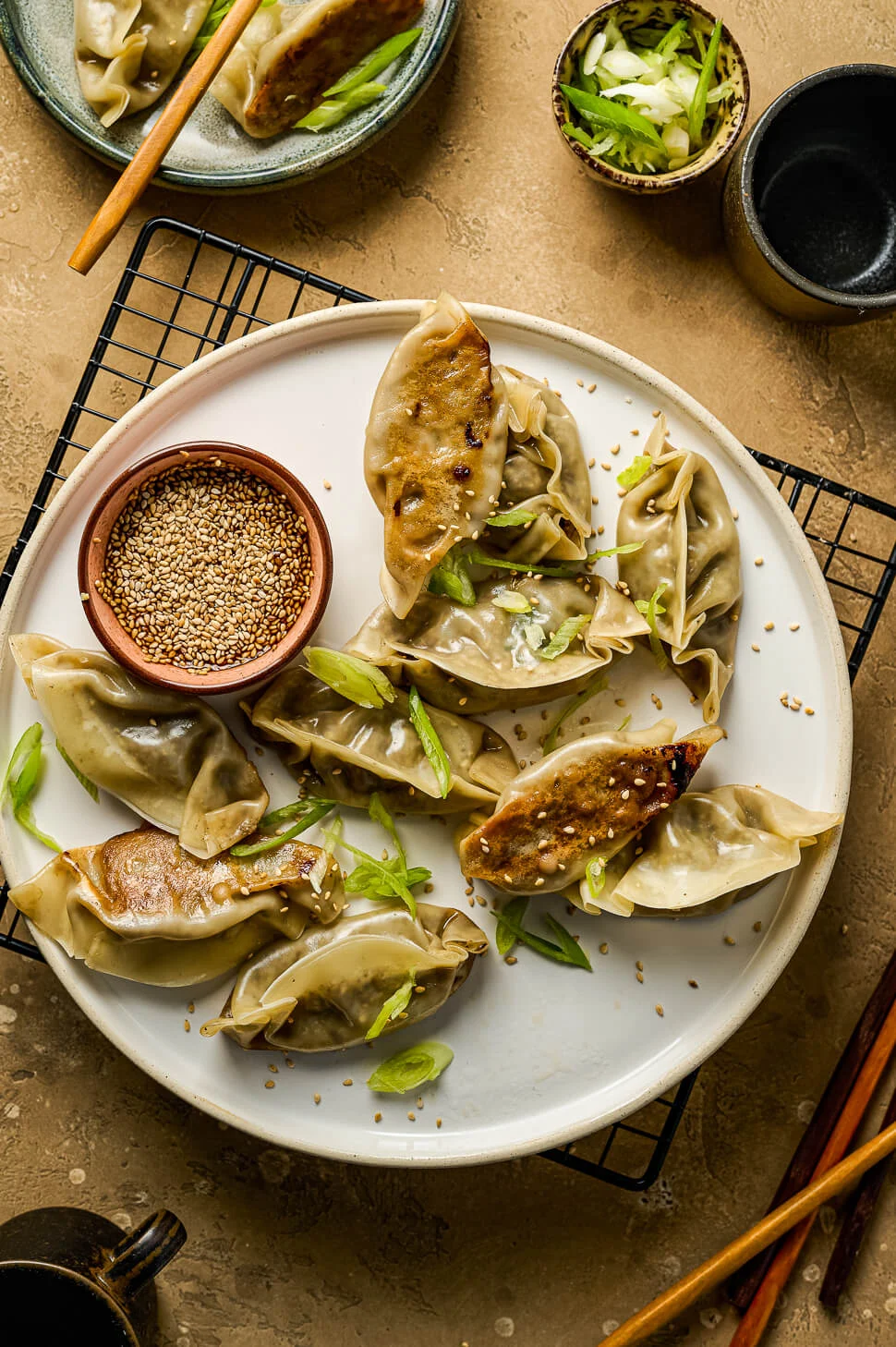 Vega gyoza met paddenstoelen 7 gyoza vouwen
