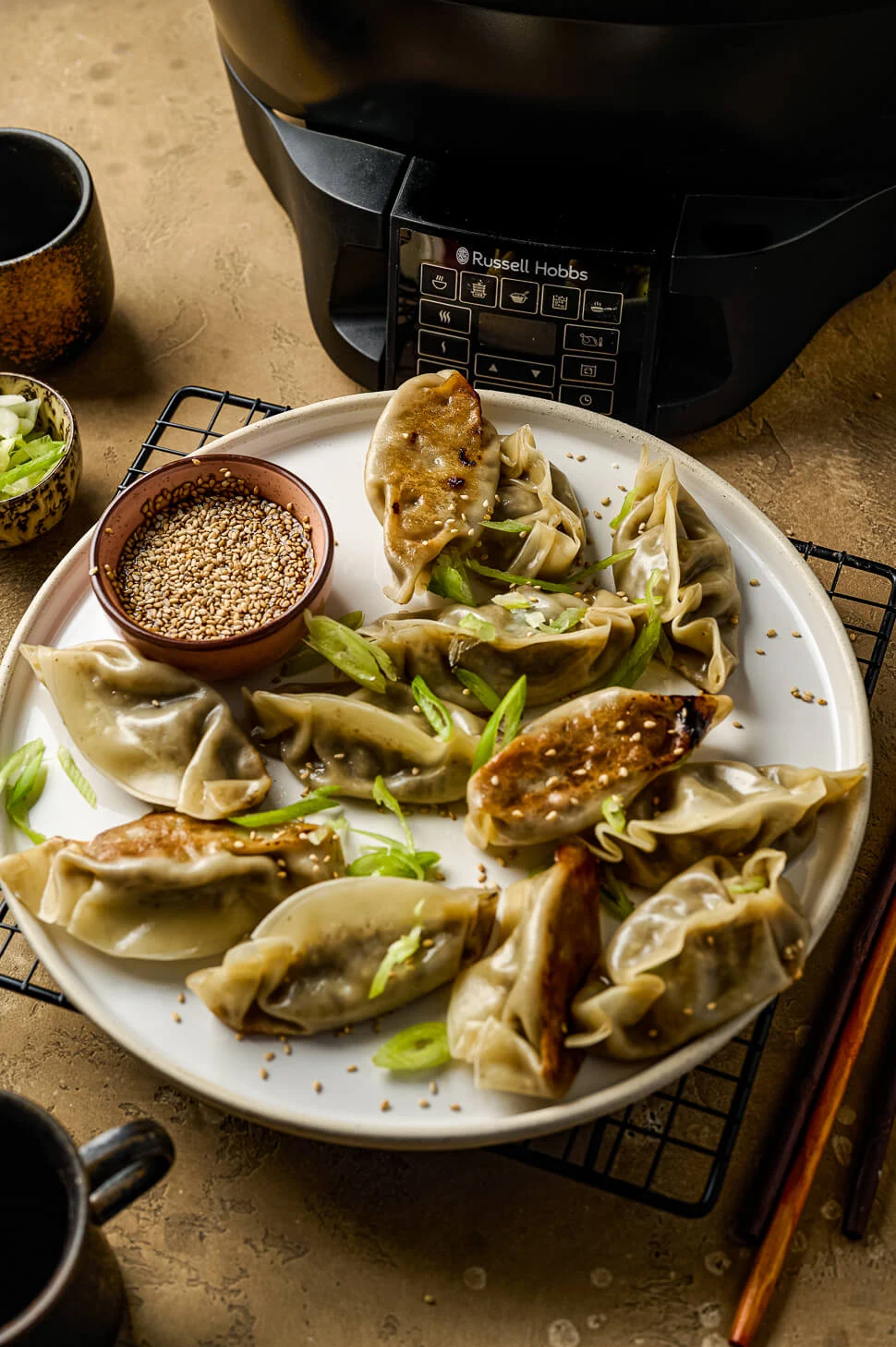 Good-to-Go Multicooker van Russell Hobbs - Review 5 vegetarische gyoza
