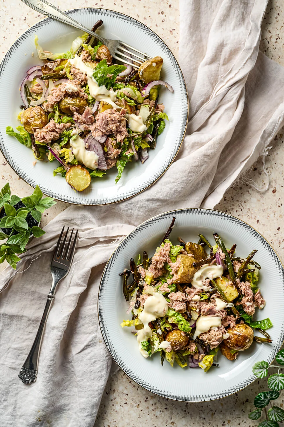 Maaltijdsalade tonijn met geroosterde sperziebonen 2 geroosterde sperziebonen
