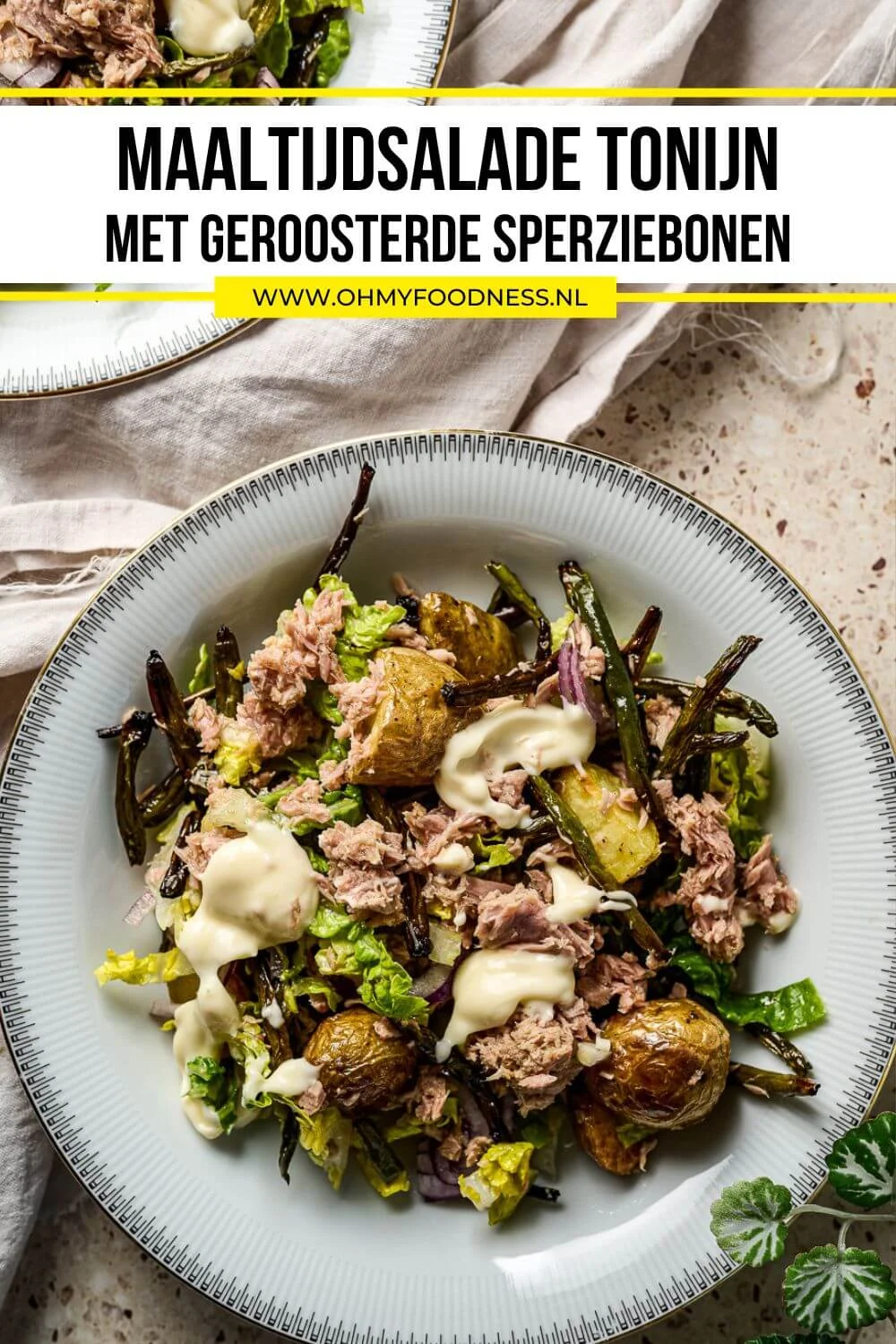 Maaltijdsalade tonijn met geroosterde sperziebonen 6 maaltijdsalade met tonijn
