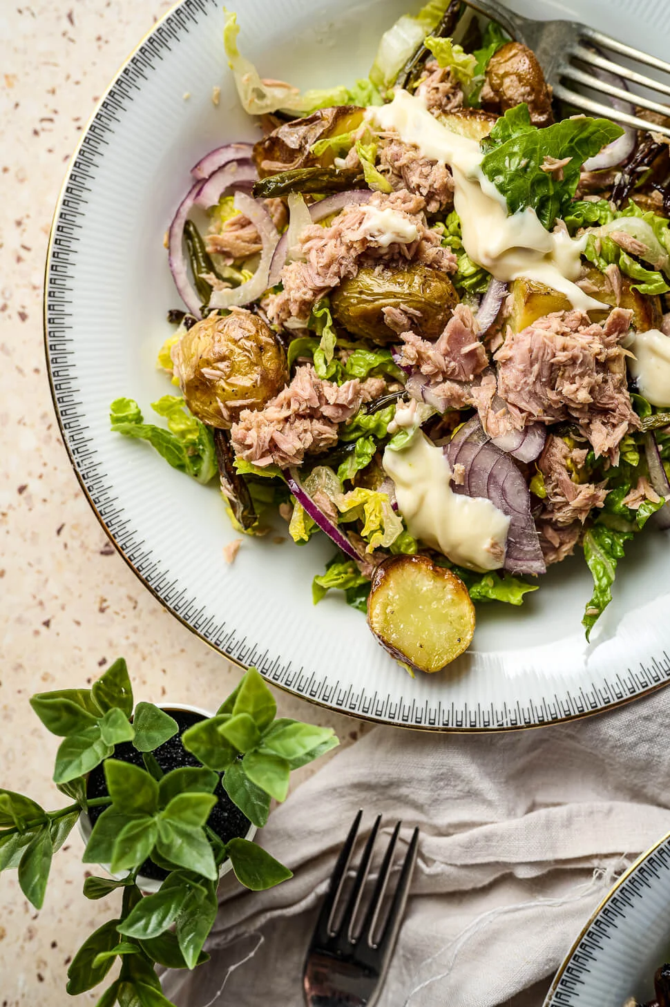 Maaltijdsalade tonijn met geroosterde sperziebonen 5 maaltijdsalade tonijn geroosterde sperziebonen