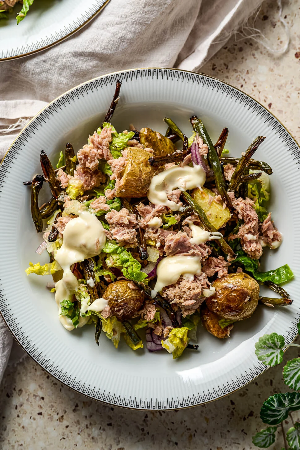 Maaltijdsalade tonijn met geroosterde sperziebonen 7 tonijnsalade sperziebonen