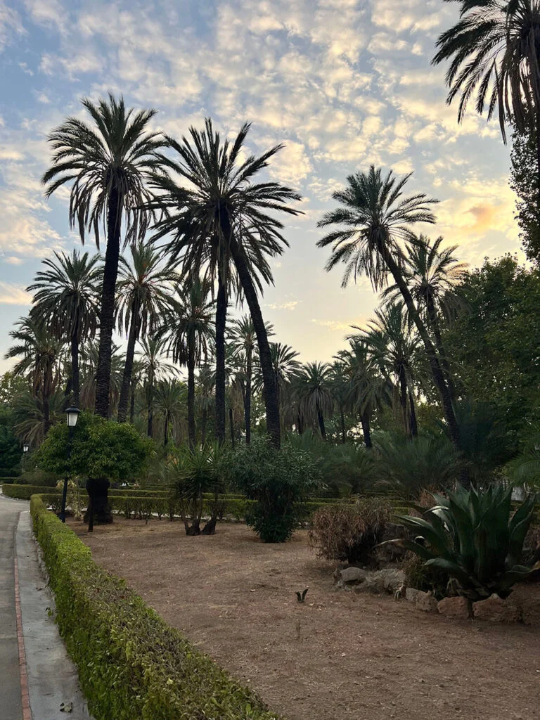 palermo
