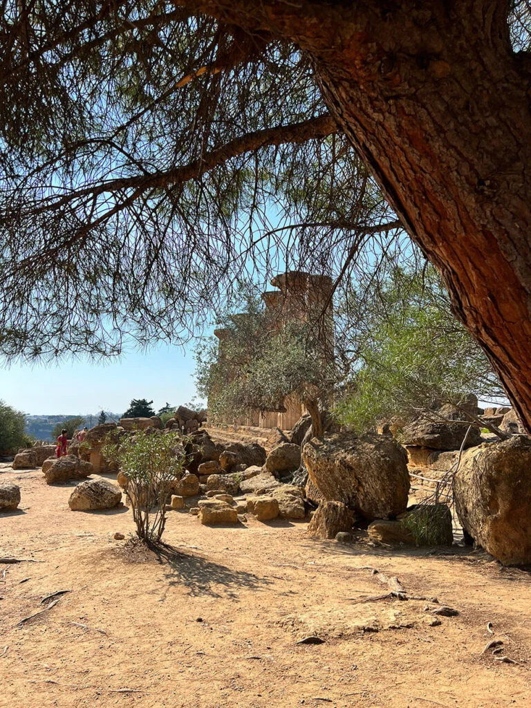 Vallei dei templi