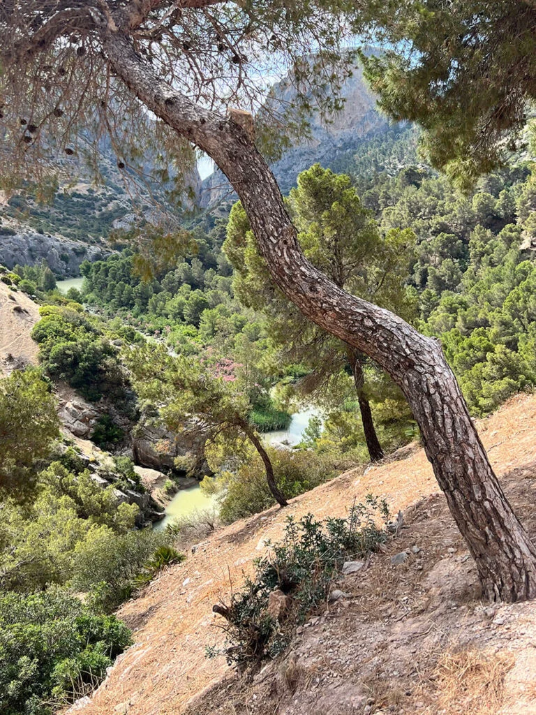 10x wat te doen in Malaga 18 Caminito del rey