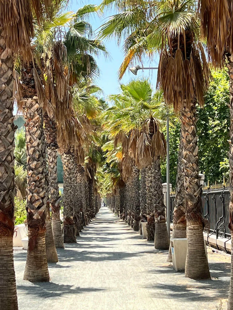 10x wat te doen in Malaga 10 Parque de Malaga