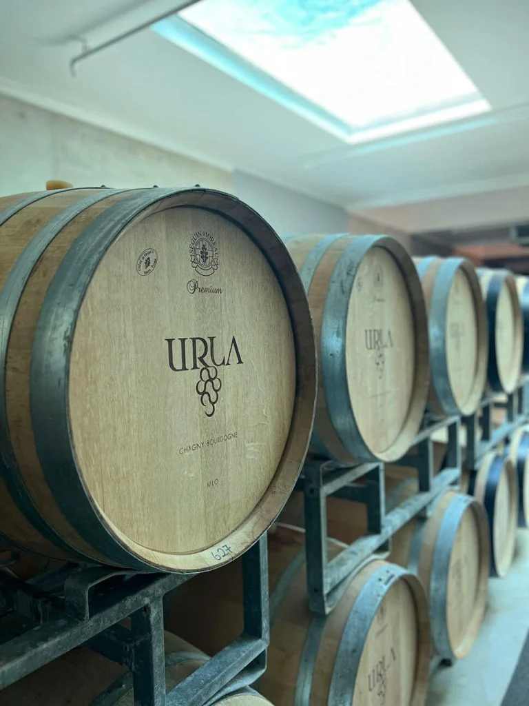 Doen in Çesme (Turkije) 11 Urla wijnroute